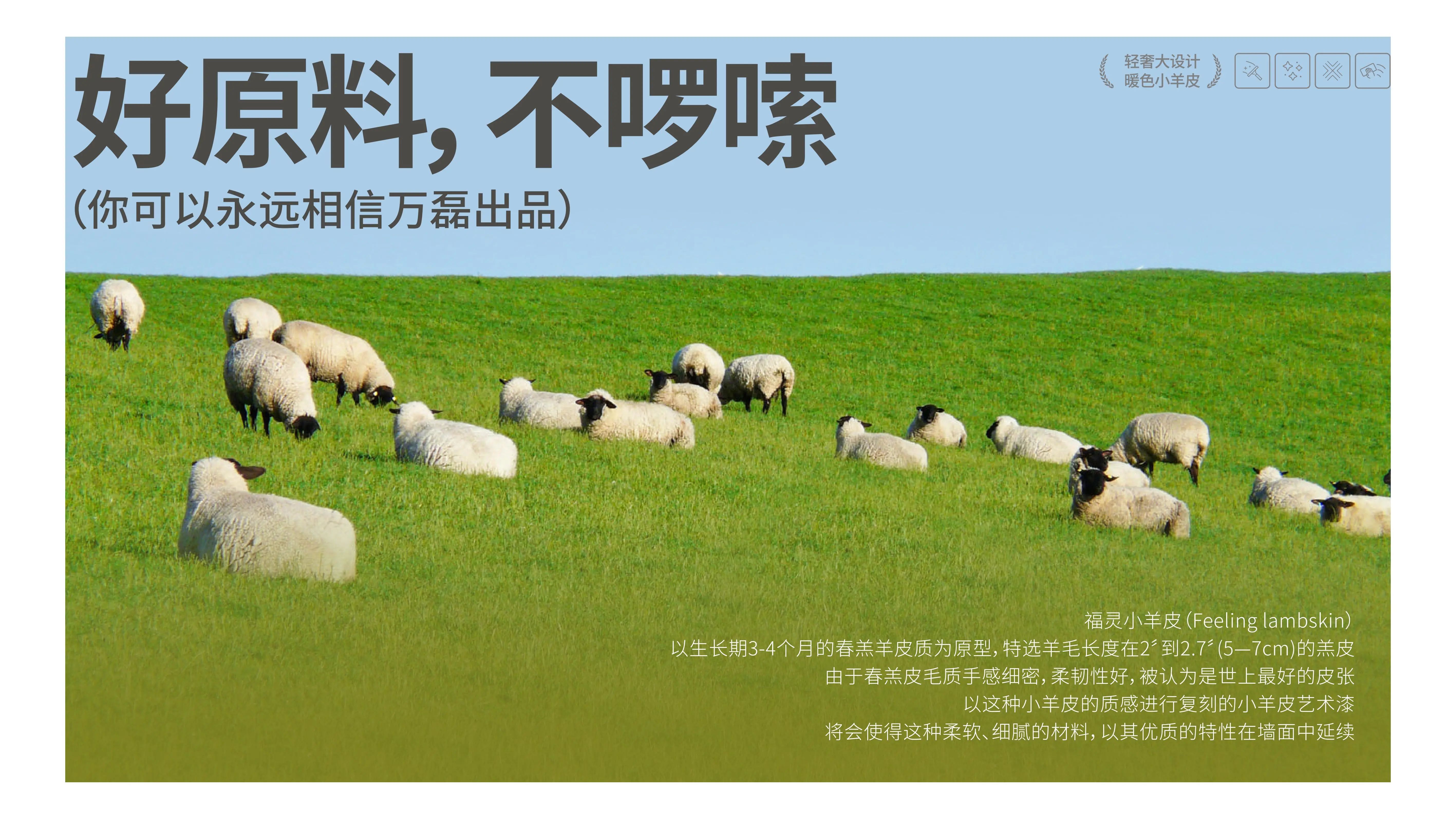 萬磊福靈小羊皮來啦！多樣的表面質(zhì)感等您來解鎖~